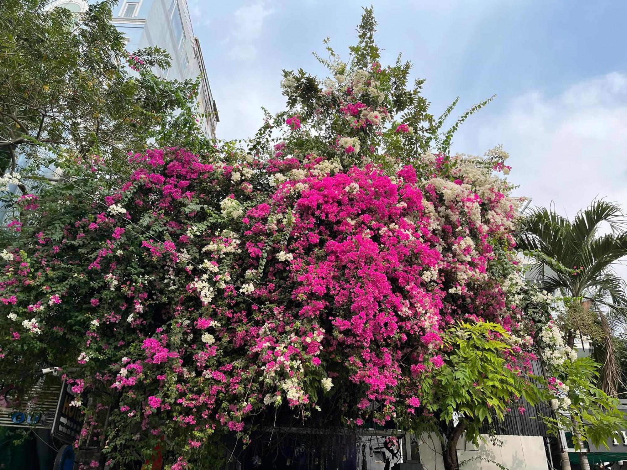 Hotel Nguyen Anh Πόλη Χο Τσι Μινχ Εξωτερικό φωτογραφία